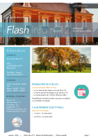 Flash Info N°12 (Janvier 2026)